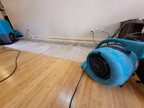 Professional Water Damage Repair technician working in Saint Hedwig, TX